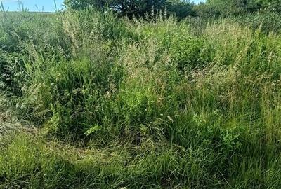 Teren intravilan de 3600 mp, în Valea Lungă - 2