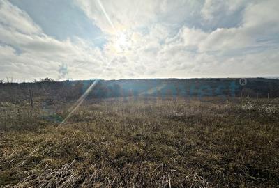 Teren agricol extravilan de 5508 mp, în Episcopia Bihorului - 3