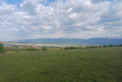 Teren agricol extravilan de 2500 mp, în Bradu - 1