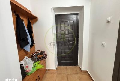 Garsonieră semidecomandată în Lăpuș Argeș - 7