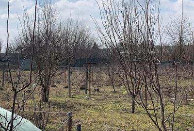 Casă cu Teren 1217 Mp în Schela
