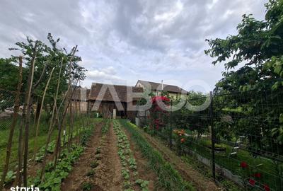 Casă cu 2 camere nedecomandat cu Teren 580 Mp în Axente Sever - 3