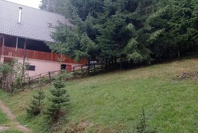 Teren în Muntele Băișorii - 4