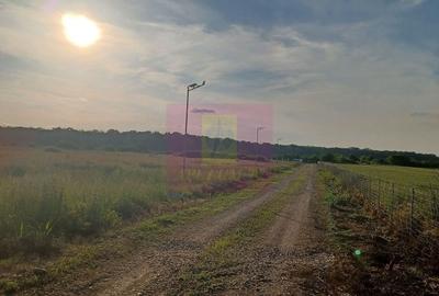 Teren de 550 mp, în Nord