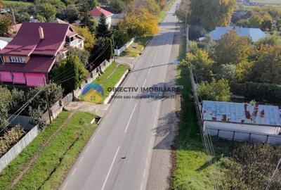Casă individuală cu 5 camere cu Teren 2459 Mp în Turturești - 4