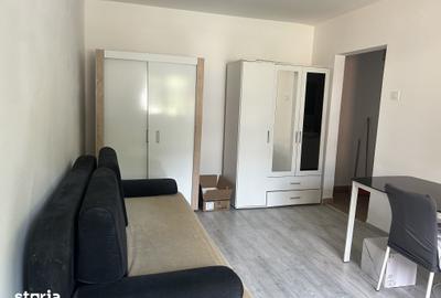 Garsonieră semidecomandată în Valea Rosie - 1