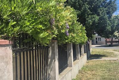 Casă cu Teren 2085 Mp în Central - 3