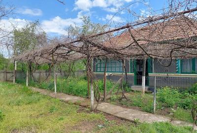 Teren de 1280 mp, în Merii Petchii - 4