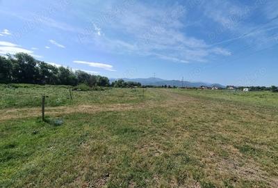 Teren de 1500 mp, în Bartolomeu - 4