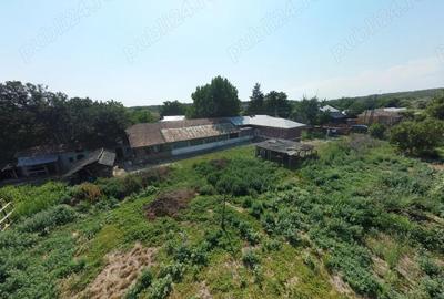 Casă cu 6 camere cu Teren 1950 Mp în Crivăț - 5