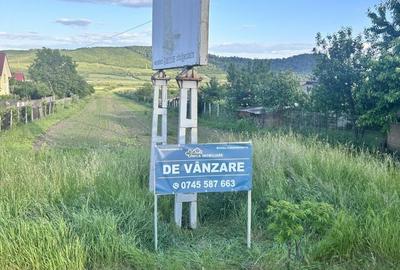 Teren de 5210 mp, în Viișoara