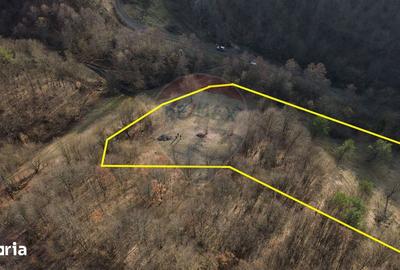 Teren de 5000 mp, în Coaș - 11