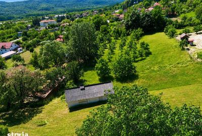 Teren de 7516 mp, în Nicolae Bălcescu - 1
