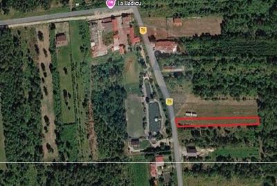 Teren Construcții extravilan de 1025 mp, în Drăguș - 6