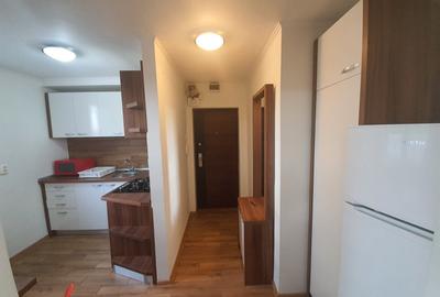 Apartament cu 2 camere decomandat în Ultracentral - 10