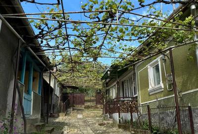 Casă cu 4 camere în Cuzap - 4