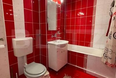 Apartament cu 3 camere decomandat în Lăpuș Argeș