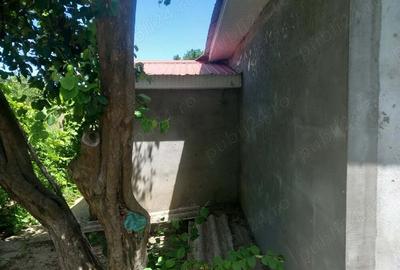 Casă cu 2 camere cu Teren 2700 Mp în Făcăeni - 9