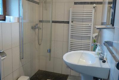 Casă cu Teren 2850 Mp în Brebu - 6