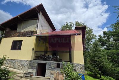 Casă cu 5 camere cu Teren 2200 Mp în Provița de Jos - 19