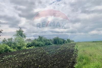 Teren Construcții intravilan de 3250 mp, în Stupini - 3