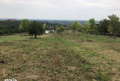 Teren de 11600 mp, în Viile Satu Mare - 8