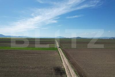 Teren de 22300 mp, în Central - 7