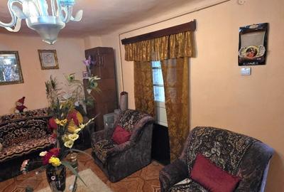 Casă individuală cu 3 camere cu Canalizare în Alexandriei - 18