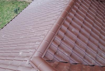 Casă cu 6 camere cu Teren 4971 Mp în Urechești - 3
