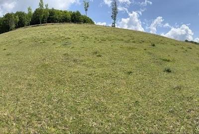 Teren de 5140 mp, în Nicorești - 1