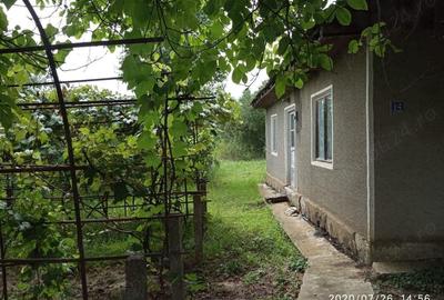 Teren de 10000 mp, în Traian - 3