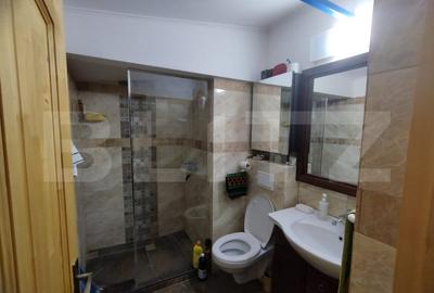 Apartament cu 4 camere nedecomandat, mobilat în Valea Lupului - 9
