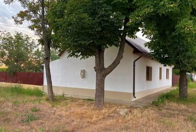 Casă cu 2 camere cu Teren 800 Mp în Foeni