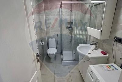 Apartament cu 1 camere nedecomandat, mobilat în Săsar - 3