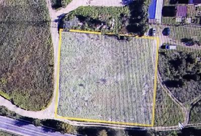 Teren Construcții intravilan de 3000 mp, în Vest - 2