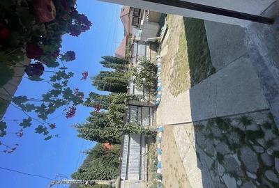 Casă cu Teren 450 Mp în Central
