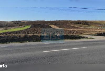 Teren de 7800 mp, în Livada