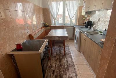 Apartament cu 2 camere nedecomandat în Cioarga - 4