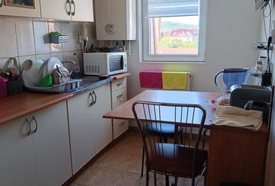 Apartament cu 2 camere semidecomandat în Ostroveni