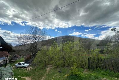 Casă cu 4 camere cu Teren 12186 Mp în Rapoltu Mare - 6