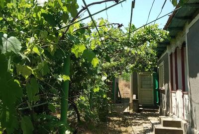 Casă cu Teren 4800 Mp în Mihail Kogălniceanu - 1