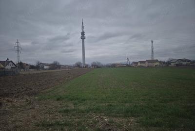 Teren de 2500 mp, în Bogdan Vodă