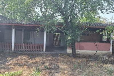 Casă cu 3 camere cu Teren 856 Mp în Socetu