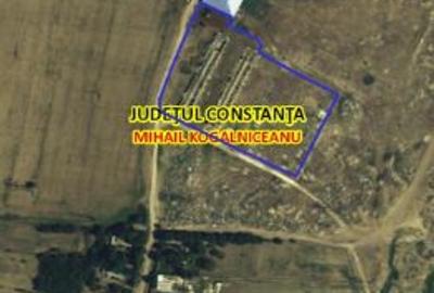 Teren intravilan de 12481 mp, în Mihail Kogălniceanu