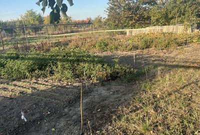 Casă cu 4 camere în Zărand