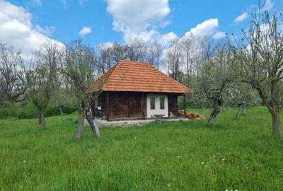Casă cu 7 camere cu Teren 20855 Mp în Central - 1