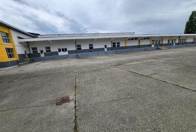 Spațiu industrial, de 5,000 mp, în Est - 8