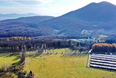 Teren Construcții intravilan de 186000 mp, în Exterior Vest - 18