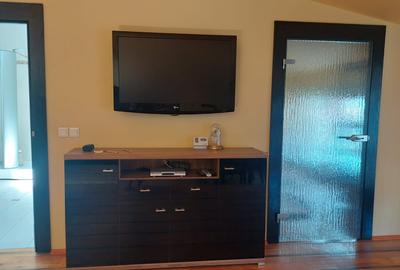 Apartament cu 8 camere decomandat, mobilat în Central - 4