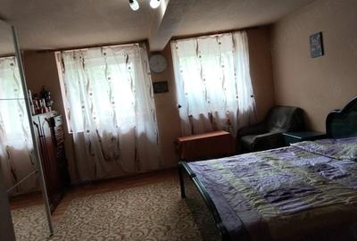 Casă cu 2 camere cu Teren 500 Mp în Vladimirescu - 4